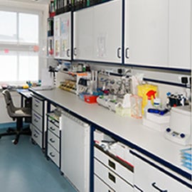 Lab Benches & Cupboards